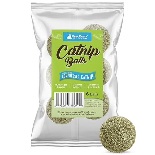 Raw Paws Catnip Balls for Cats (6-Count) - Interactive Indoor Cat Toy | Natural Compressed Natural Catnip - Cat Lick Balls - Catnip Roller Balls - Play & Enrichment Toy - Fresh Dried - No Additives