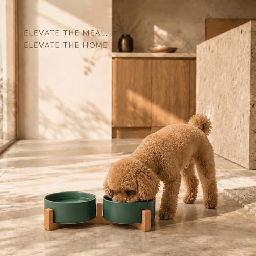 SPUNKYJUNKY Ceramic Dog and Cat Bowl with Wood Stand Non-Slip Matte Glaze Weighted Food Water Set for Cats &Small Dogs 13.5 OZ Green - color: Green × 2, size: 1.7 cups