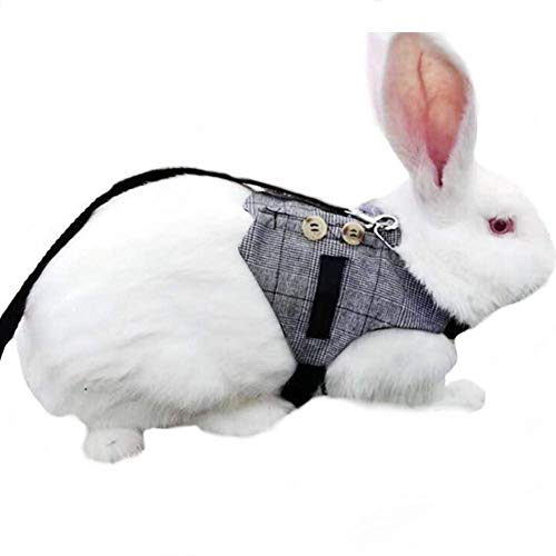 Hypeety Multipurpose Rabbit Vest Harness and Leash Set Adjustable Soft Vest | Breathable and ligthtweight vest, escape-proof buckles, adjustable neck and chest, for bunnies/kittens, formal suit style, M - size: M
