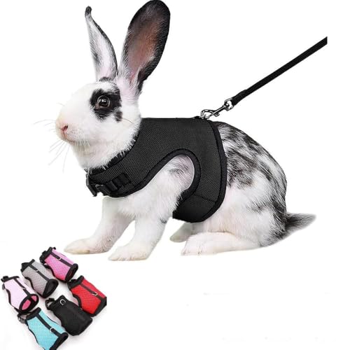 Escape Proof Rabbit Leash and Harness, Adjustable Mesh Bunny Vest Black M | Breathable Small Animal Elastic Harness Outdoor Walking Training for Rat Squirrel Ferret Guinea Pig Bunny - color: Black, size: M Chest 6.2-8.5''Mini Rabbit