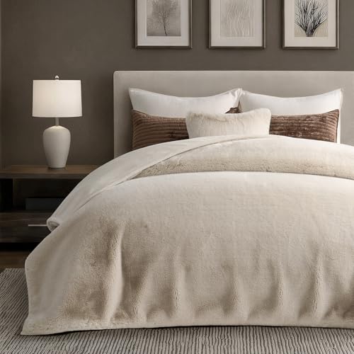 EVERGRACEHOME Faux Chinchilla Fur Throw Blanket, 72"x90", Birch Mink | Luxury, Super Soft, 1220GSM, Fluffy Cozy Mink, Reversible Velvet Back, Warm Thick Heavy Winter Queen Blanket for Bed, Gift - color: Birch Mink, size: 72"x90"