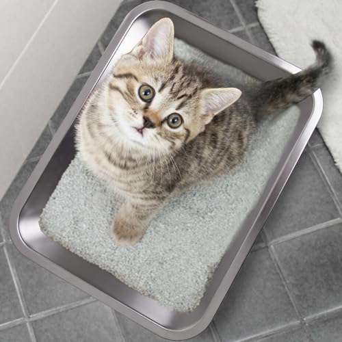 Stainless Steel Litter Box for Kitten,Cat Litter Box Small Cats | 2pcs,Small Cats,Kitty/Rabbits,4" Low Side，Easy to Clean,Metal Litter Box,Metal Pet Toilet/Bath Pan,No Smell - color: 2packs-M-4" H