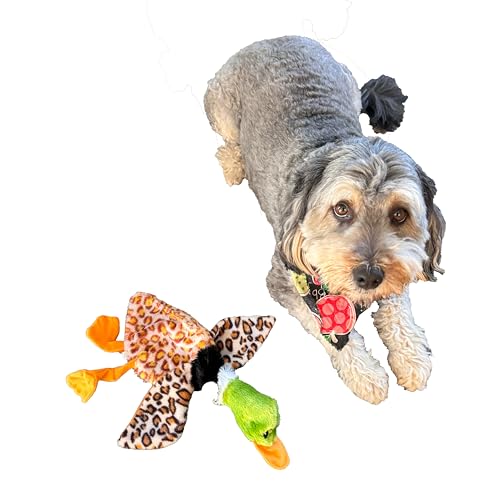 SPOT Skinneeez Mini Mallard Duck 13 Inch Stuffing-Free Plush Squeaky Dog Toy – Soft Interactive Toy for Small and Medium Dogs – Mess-Free Play for Light & Moderate Chewers – Assorted Styles - style: Mini Mallard Duck