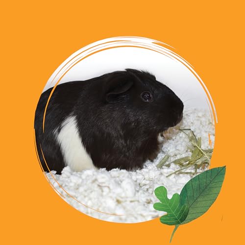 CritterCare Natural Snowflake Paper Small Pet Bedding - Odor Control, Unscented, 99% Dust Free, Super Absorbent, White, 50L, Great for Rabbit, Guinea Pig, Gerbil, Mice, Rat, Hamster Bedding - color: Snowflake, size: 50 liters