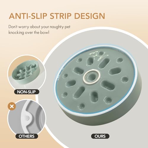 Havniva Elevated Slow Feeder Dog Bowls, Ceramic Dog Bowl Slow Feeder Set | 1.2 Cups Raised Slow Feeder Dog Bowl for Small Breed, 6.1” Dog Water Bowl with Wooden Stand, Puzzle Dog Food Bowl, Non-slip - color: Light Green