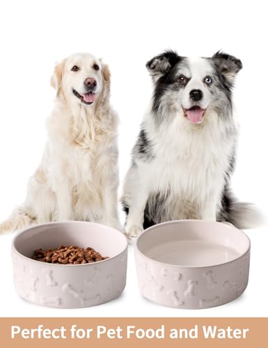 UBEE Ceramic Dog Bowl Set of 2, Dog Food Bowl Dish, Pet Food Water Dish Feeding for Small and Meidum Dogs and Large Cat, White, Bone Pattern, 6.1 in-Medium - size: 6.1 in-Medium