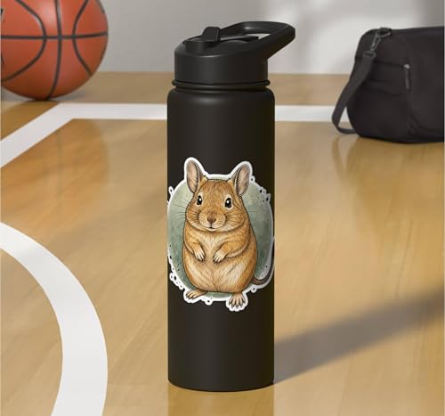 Degu Watercolor Circle Stainless Steel Insulated Water Bottle - color: Black
