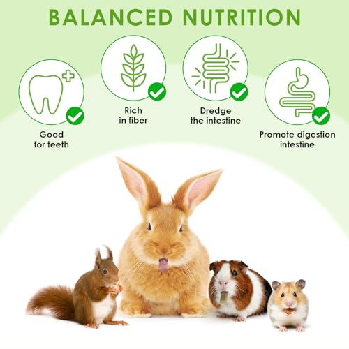 ERKOON 114Pcs Rabbit Chew Toys Timothy Hay Sticks, Guinea Pig Toys for Teeth Natural Molar Sticks Rabbits Treats for Bunnies, Chinchilla, Guinea Pigs, Gerbil, Hamster - size: 10.67 Ounce (Pack of 3)