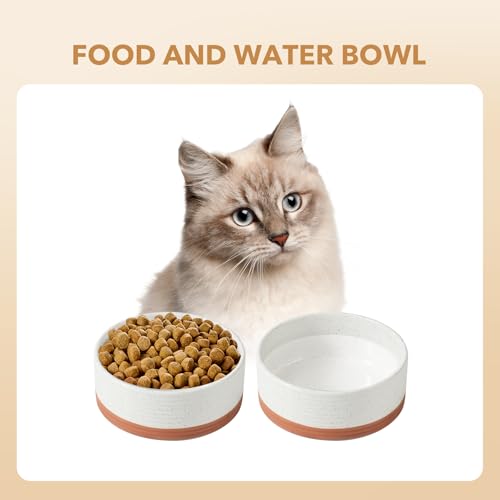 Havniva Dog Bowls Ceramic, Dog Food and Water Bowl Set | 5.1inch Dog Food Bowl, Dog Water Bowl, Food-Grade Ceramic Non-Slip Rubber Base, Dishwasher Safe, 2 Pack, Small Dogs, Puppy - color: 2 Bowls-Vanilla White, size: 1.6CUPS