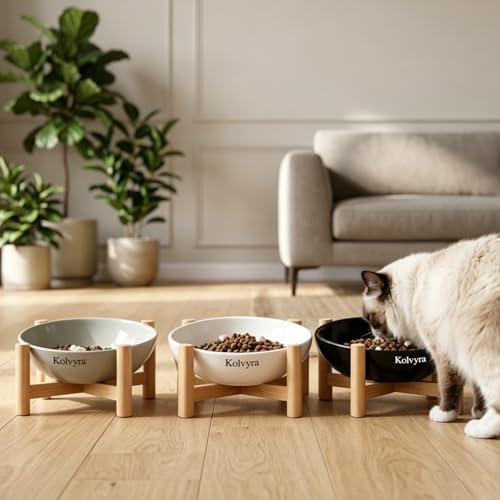 15° Slanted Rim Ceramic Cat Bowl, Anti-Spill for Small Cats,White | Food-safe Ceramic with Wooden Stand,Ergonomic Tilt Relieves Neck Strain,Anti-Vomiting,Prevents Whisker Fatigue - color: White