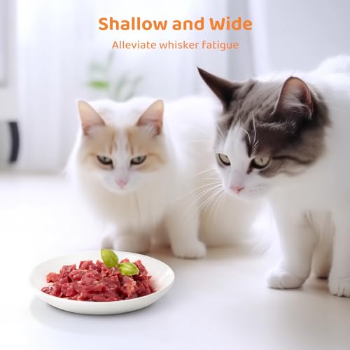 Ceramic Cat Food Plates: Cat Wet Food Bowls/Whisker Fatigue Cat Dishes & Shallow Bowls for Kittens and Small Animals | For wet/dry food; fits kittens, rabbits, hamsters; microwave & dishwasher safe; stable fishbone design - color: Fish bone