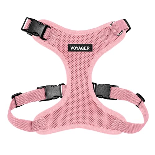 Voyager Step-in Lock Dog Harness - Pink, Medium | 17 - 21" in Chest, Adjustable, Breathable Air Mesh, Lightweight for Daily Walks, Strong Clips, Heavy Duty D-Ring - color: Harness (Pink), size: M (Chest: 17 - 21")