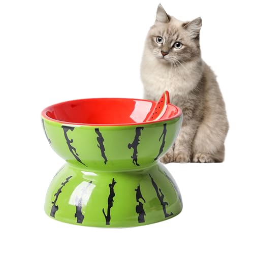 Hamiledyi Ceramic Raised Cat Bowl 5In Elevated Wide Cat Bowl for Food and Water Anti Vomiting Tilted Pet Feeder Dish for Indoor Cats and Small Dogs(Watermelon)