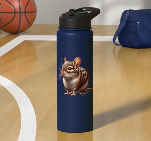 Degu Design Stainless Steel Insulated Water Bottle - color: Navy Blue