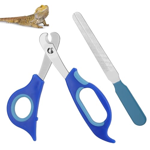 BOXOB Bearded Dragon Nail Clippers and File, Stainless Steel Small Animal Toe Nail Trimmer Scissors Professional Grooming Pet Tool for Reptiles Turtle Chameleon Iguana (Blue)
