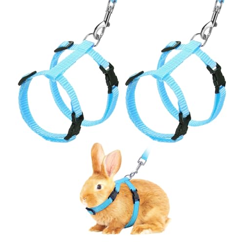 Rabbit Harness and Leash, Escape Proof Bunny Cat Leash Small Animal Harness Soft Adjustable Buckle(2Pcs, Sky Blue) for Bunny Kitten Cats Puppies Walking Hiking Training - color: Sky Blue