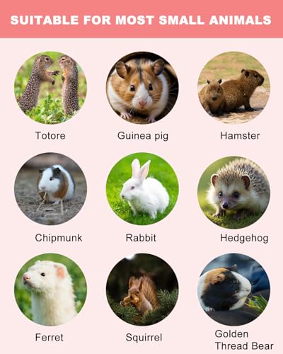 40PCS Timothy Hay Chew Sticks for Small Animals, High Fiber Dental Treats & Cage Enrichment Chews for Hamsters, Rabbits, Guinea Pigs, Chinchillas, Gerbils and Small Pets