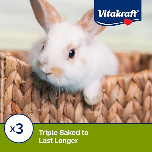 Vitakraft Crunch Sticks Rabbit Treat Wild Berry and Honey Flavor with Natural Grains and Honey Enriched with Essential Nutrients Baked on Wooden Stick to Encourage Chewing and Long Lasting Enjoyment