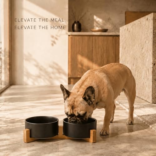 SPUNKYJUNKY Ceramic Dog and Cat Bowl Set with Wooden Stand, Modern Cute Weighted Food Water Set for Small Size Dogs (13.5OZ) & Medium Sized Dogs (28.7OZ) & Cats (3.6 Cups, 2 × Black) - color: Black × 2, size: 3.6 cups