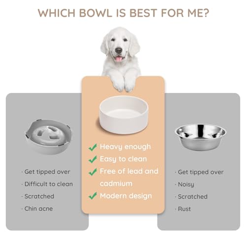 SPUNKYJUNKY 13.5OZ Ceramic Dog and Cat Bowl, Modern Cute Weighted Food Water Bowl for Replacement White (2 Pack) - color: White, size: 1.7 CUPS × 2