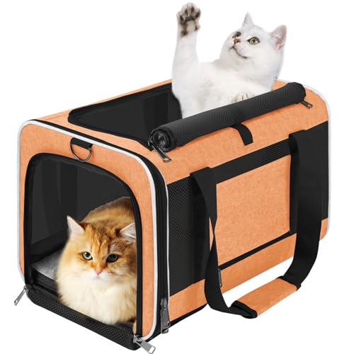 GAPZER Large Cat Carrier Soft, Collapsible Travel Pet Carry Bag, Small Dogs | Large Kitty Cat 20 lbs Maine Coon, Top Load Transport Small Puppy Dog Kennel, Yorkie Little Dog 10lbs, Sturdy Fabric Orange - color: Orange