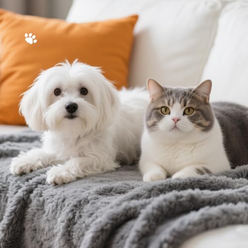 2 Pack Cat Blanket for Small Dogs Puppy Cat Kitten, 16" x 24" | Soft Warm Sherpa Fleece Cat Blanket Washable, Grey/Beige
