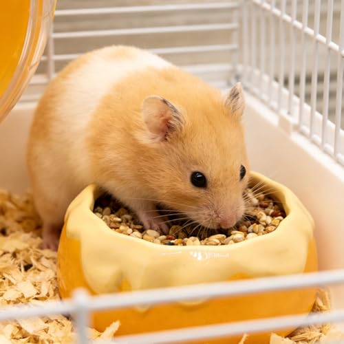M2cbridge Ceramic Pudding Hamster Food Bowl Feeding Dish Water Bow for Guinea Pig Hedgehog Small Animal(Yellow) - color: Yellow