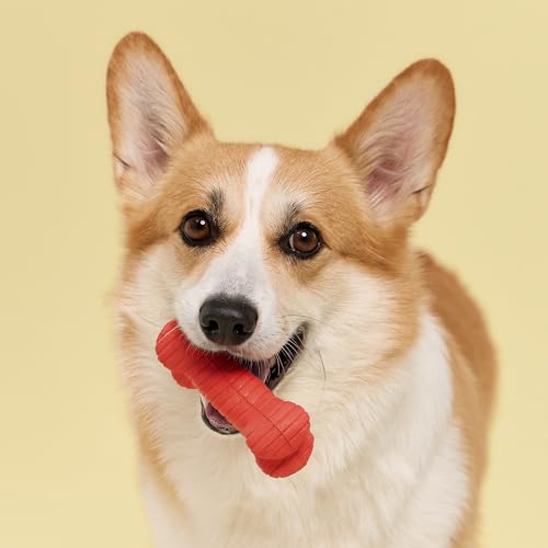 Playology Dual Layer Bone Dog Chew Toy - Medium, Beef Scent | Rubber Construction, All Natural Scent, Heavy Duty Design - size: Medium, style: Beef