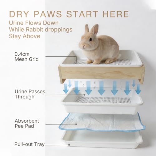 Rabbit Litter Box with Detachable Hay Feeder,Urine Separation Litter Box | Urine Separation Litter Box Keep Clean, Bunny Hay Feeder with Loofah Less Mess for Guinea Pigs, Chinchillas, Hamsters Rabbits