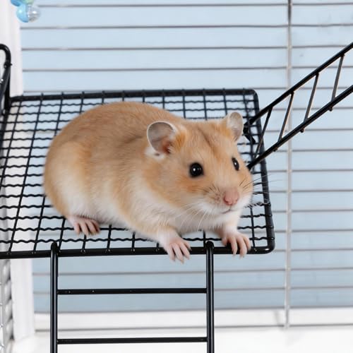 4 PCS Hamster Climbing Platform with Ladder, 2-Tier Stainless Steel Small Animal Playground Climbing Toy for Dwarf Hamster Sugar Glider Mouse Rat Gerbil Guinea Pig Chinchilla Parrot