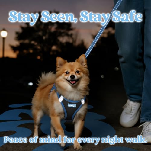 rabbitgoo Dog Harness Small Sized and Leash Set, Step in Soft Vest | Breathable Mesh, Easy Wear with Hook & Loop, Light and Reflective for Walking, Multi-colored, Black & Blue, XXS - color: Black & Blue, size: XXS (Chest: 12.4"-14.2")