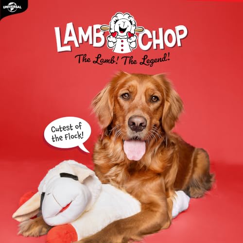 Multipet Lamb Chop Dog Plush Toy - Squeaky Toy for All Dogs - Extra Soft Plush - Stuffed Animal for Cuddling & Playing - Jumbo (24", Cream) - size: 24" Jumbo, style: White
