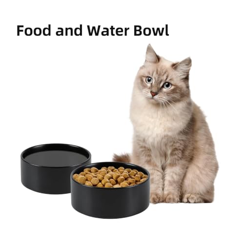 Havniva Ceramic Dog Bowls, 5.1” Dog Food and Water Bowl Set of 2 | Dog Food Bowl for Small Dogs, Food-Grade Ceramic, Dog Water Bowl with Non-Slip Rubber Base, Large Capacity, Dishwasher Safe - color: Matte Black, size: 5.1" - Bowl
