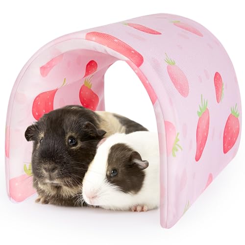 Bienbee Guinea Pig Tunnel, Pink Strawberry, Washable Rabbit Hideout & Bunny House, Modern Animal Tune for Indoor Use, Small Animal, 17.7 x 9.8 inches
