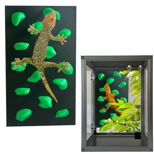 Rock Climbing Wall for Bearded Dragons Climbing Rock Wall Grips for Bearded Dragons Tank Accessories Reptiles Toy (Green) - color: Green