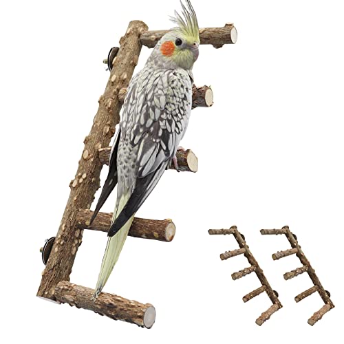 2 Pack Bird Ladder Perch for Cage, Parrot Perch Stand Toys, Natural Prickly Ash Wood Climbing Ladder, Cage Accessories for Small to Medium Birds Parakeets Cockatiels Rats Hamsters