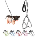 YeeBeny Mini Pig Harness Adjustable with Leash Foam Handle Gren, S | Adjustable Small Pig Harness with Leash Infinity Style Lead and Soft Foam Handle for Walking Training Jogging - color: Gren, size: S