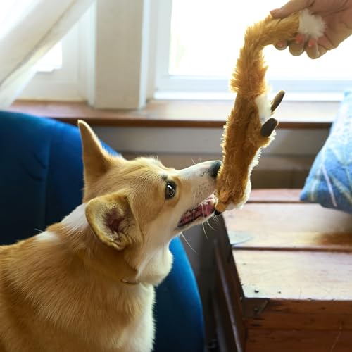 SPOT Skinneeez Fox – 14" Stuffing-Free Plush Squeaky Dog Toy for Small & Medium Dogs, Best for Light to Moderate Chewers, Mess-Free Play - style: Mini Fox