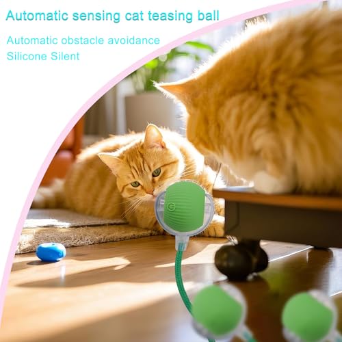 Interactive Cat Dog Toy Ball with LED Light, Automatic Rolling(Green) | String Tail and LED Light Design, Motion Activated, Suitable for Interactive Indoor Pet Play and Exercise - color: Green
