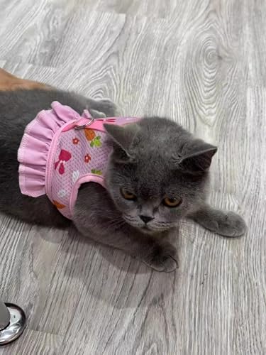 Hotlion Bunny Leash and Harness Set, Cute Breathable Rabbit Harness and Leash Set Soft Mesh Vest Harness for Rabbits Hamster Clothes Kitten Ferret Guinea Pig Puppy Small Pets Walking Gear, Blue M - color: Blue, size: M(Juvenile Rabbit)4 months old