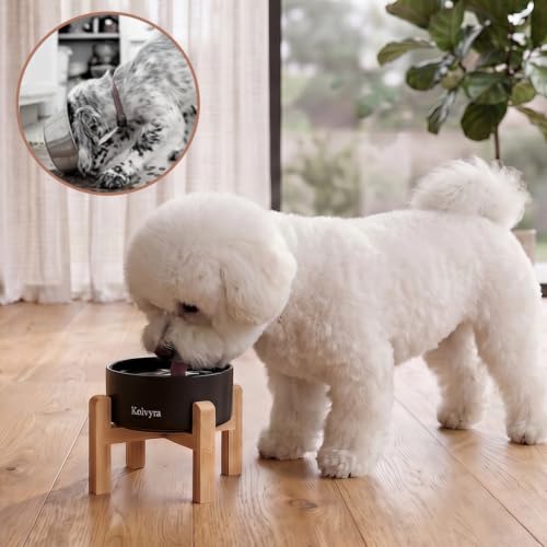 6" Elevated Ceramic Dog Bowl, Anti-Vomiting 23oz for Small Dogs | Premium Food-safe Ceramic with Anti-slip Wood Stand,Dishwasher Safe,Ergonomic Height Relieves Neck Strain,Black - color: Black, size: 6 in
