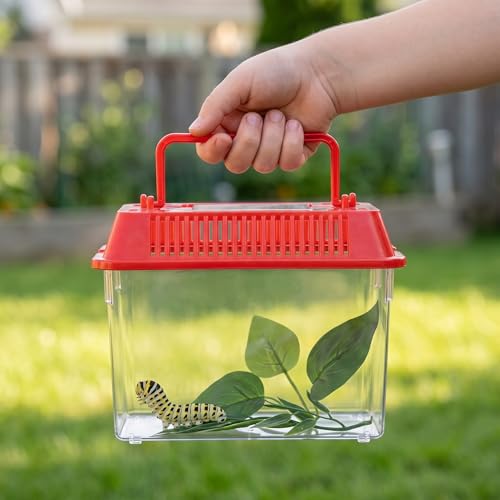 Angoily Turtle Tank, 0.4 Gal Portable Plastic Handheld Mini Fish Tanks Clear Reptile Habitat Carrier Catch and Release Aquarium Small Pet Aquarium with Handle for Travel and Home Use, Bug Cage Beach