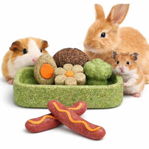 mini&moe Hamster Chew Toys for Teeth - Guinea Pig Chews and Treats Natural Hamster Enrichment Toys Improve Dental Health for Rat, Bunny, Chinchilla, Gerbils and Small Animal