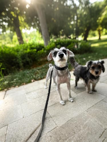 5FT Bungee Dog Leash Shock Absorbing Reflective Nylon Lead 2cm Wide | for Small/ Medium Dogs- Soft Handle- Lightweight- Anti-Pull Training- 6 Colors - color: Black