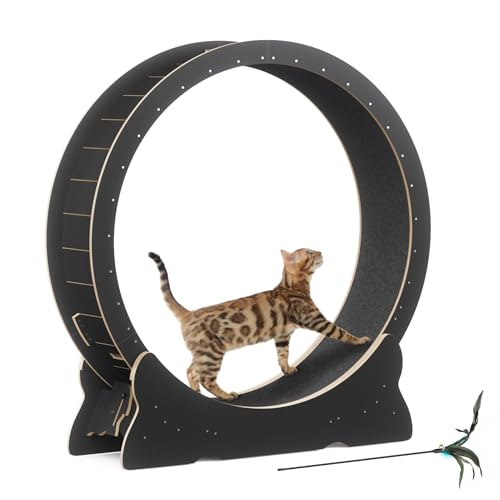 Mondeer 46'' Cat Wheel with Carpet Track and Teaser, Black | Cat Exercise Wheel, 46'' XL Treadmill with Carpeted Runway, Removable Carpet and Teaser, for Indoor Cats Running and Walking. - color: Black, size: 43.3