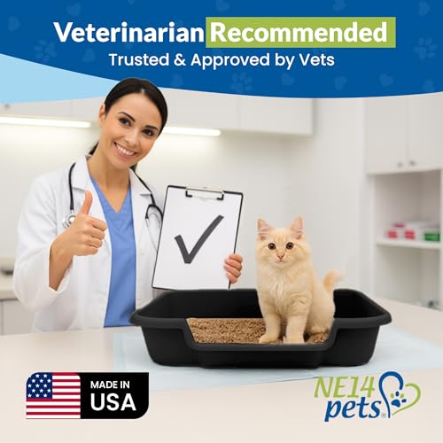 KittyGoHere Senior Cat Litter Box, Large with Jumbo Scoop, Black | Open Top Low Entrance Kitty Litter Box With Long-handle Jumbo Scoop, Lightweight Low Entry Litters Box, Durable, Made in USA - color: Black, size: Large with Scoop