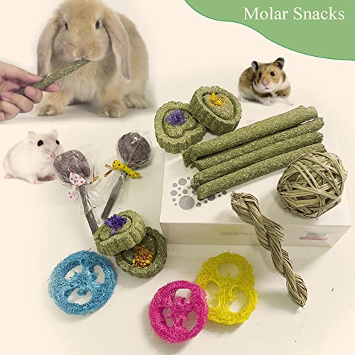 Rabbit Chew Toys for Teeth, 16PCS Natural Timothy Hay Chew Toy, Improve Dental Health for Bunny/Chinchilla/Guinea Pig/Hamsters/Holland Lop, Small Rodent Pet Molar Teeth Treats Toys - size: 16 PCS