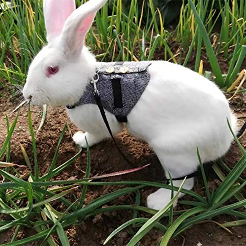 Hypeety Multipurpose Rabbit Vest Harness and Leash Set Adjustable Soft Vest | Breathable and ligthtweight vest, escape-proof buckles, adjustable neck and chest, for bunnies/kittens, formal suit style, L - size: L