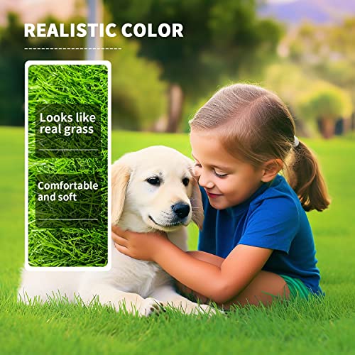 LOOBANI Artificial Grass Outdoor, Fake Grass with Drainage Holes, 6x10ft | Realistic Artificial Turf, Cuttable Design, Grass Rug for Dog Potty Training, Garden, Lawn, Balcony and Landscape Decoration - size: 6 Feet x 10 Feet
