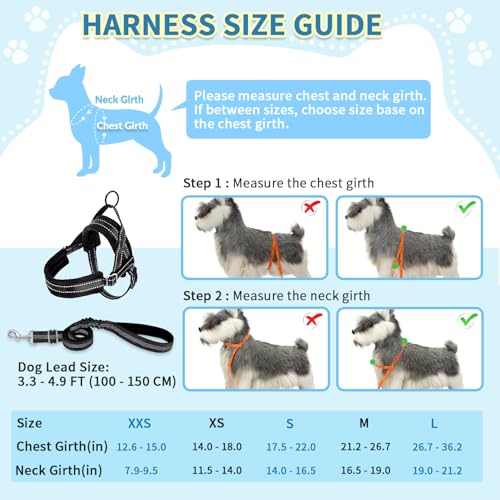 SlowTon No Pull Small Dog Harness and Leash Set with Front Clip | Soft Padded, Neck & Chest Adjustable, Lightweight, Anti-Twist, Puppy Vest Harness Pet Lead Combo for Small Medium Dog, B XXS - color: Black, size: XX-Small